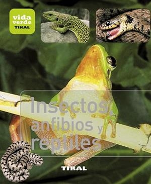 INSECTOS, ANFIBIOS Y REPTILES | 9788499281377 | VARIOS AUTORES