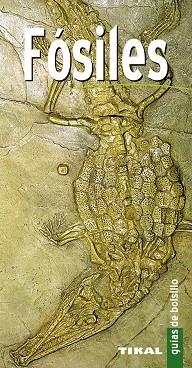 FÓSILES | 9788499281100 | VARIOS AUTORES