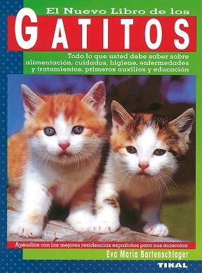 GATITOS | 9788430582075 | BARTENSCHLAGER, EVA MARÍA
