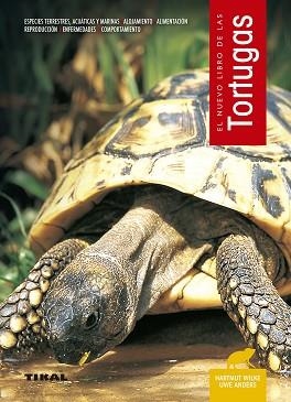 TORTUGAS | 9788430588985 | HARMUT, WILKE/ANDERS, UWE