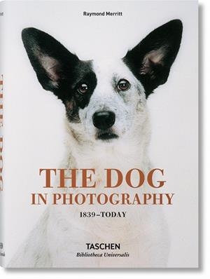 DOG IN PHOTOGRAPHY 1839–TODAY, THE | 9783836567473 | MERRITT, RAYMOND