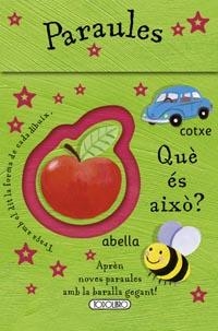 PARAULES | 9788499136998 | DIVERSOS AUTORS