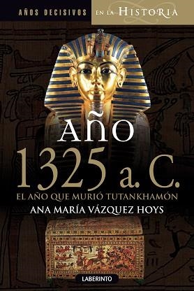 AÑO 1325 ANTES DE CRISTO, AÑO QUE MURIO TUTANKHAMON | 9788484837176 | VAZQUEZ HOYS, ANA MARÍA