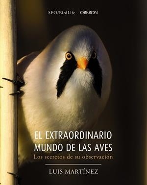 EXTRAORDINARIO MUNDO DE LAS AVES, EL. LOS SECRETOS DE SU OBSERVACIÓN | 9788441540330 | SOCIEDAD ESPAÑOLA DE ORNITOLOGÍA