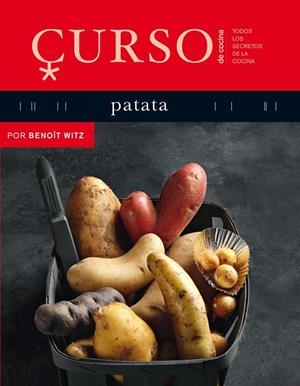 CURSO DE COCINA : PATATA | 9788496669611 | WITZ, BENOÎT