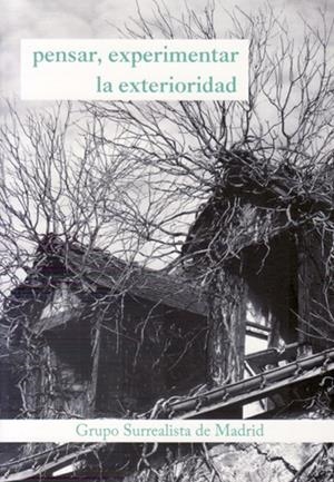 PENSAR, EXPERIMENTAR LA EXTERIORIDAD | 9788494469695