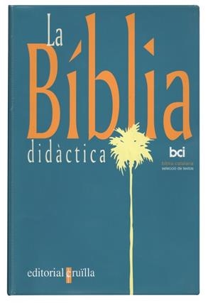 BIBLIA DIDACTICA, LA | 9788482861395 | VARIOS AUTORES,
