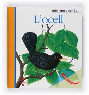 OCELL, L' | 9788466125161 | DELAFOSSE, CLAUDE / METTLER, RENÉ