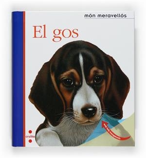 GOS, EL | 9788466121743 | GALLIMARD JEUNESSE, ÉDITIONS