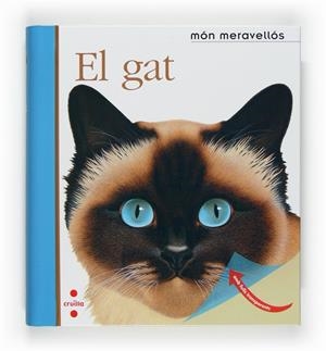 GAT, EL | 9788466121736 | GALLIMARD JEUNESSE, ÉDITIONS