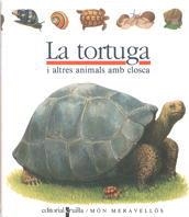 TORTUGA, LA | 9788476298206 | GALLIMARD JEUNESSE, ÉDITIONS