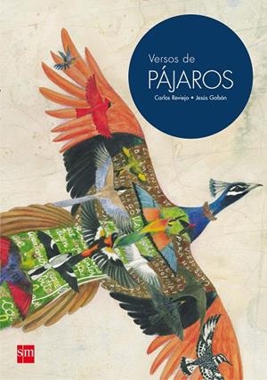 VERSOS DE PAJAROS | 9788467597721 | REVIEJO, CARLOS