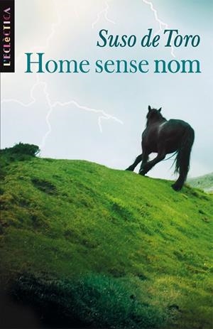 HOME SENSE NOM | 9788498241020 | DE TORO, SUSO