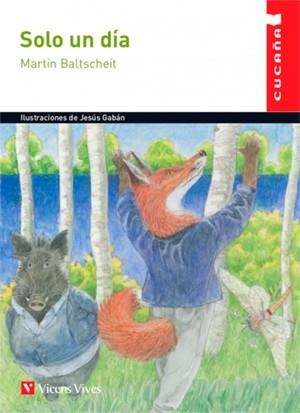 SOLO UN DIA | 9788468254661 | BALTSCHEIT, M.