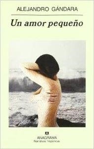 AMOR PEQUEÑO, UN | 9788433968593 | GÁNDARA, ALEJANDRO