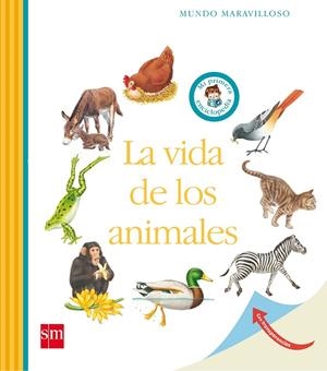 VIDA DE LOS ANIMALES, LA | 9788467565461 | BADREDDINE, DELPHINE