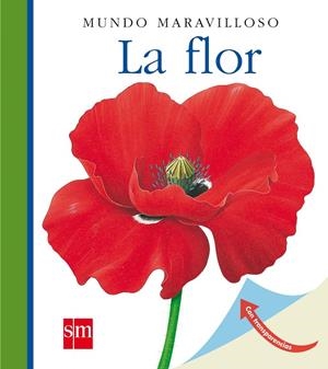 FLOR, LA | 9788467531459 | METTLER, RENÉ