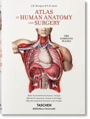 BOURGERY. ATLAS DE ANATOMÍA HUMANA Y CIRUGÍA | 9783836556637 | BOURGERY, JEAN-BAPTISTE