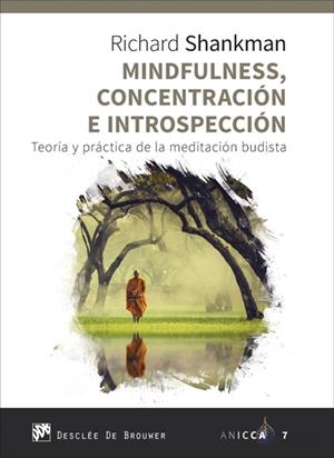 MINDFULNESS, CONCENTRACION E INTROSPECCION | 9788433029942 | SHANKMAN, RICHARD