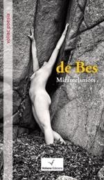 V DE BES | 9788494287695 | PUJOLÀS PUIGDOMÈNECH, NÚRIA