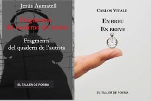 EN BREU / FRAGMENTOS DEL CUADERNO DEL AUTISTA | 9788416304134 | VITALE, CARLOS / AUMATELL MOLAS, JESÚS