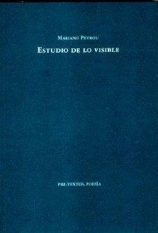 ESTUDIO DE LO VISIBLE | 9788481918151 | PEYROU, MARIANO