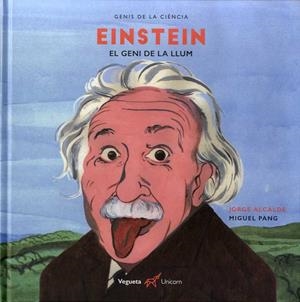 EINSTEIN EL GENI DE LA LLUM | 9788417137175 | PANG, MIGUEL