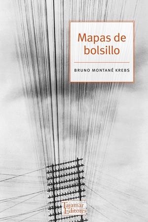 MAPAS DE BOLSILLO | 9789569043390 | MONTANE, BRUNO