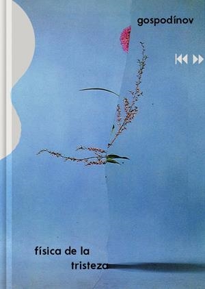 FÍSICA DE LA TRISTEZA | 9788416167784 | GOSPODINOV, GUEORGUI