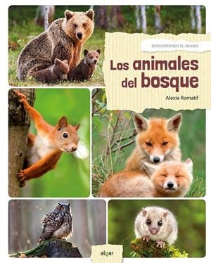 ANIMALES DEL BOSQUE, LOS | 9788491421573 | POMPEÏ, CHRISTINE