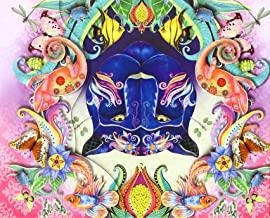 CUADERNO INTO THE WILD PANTERA | 9788416586738