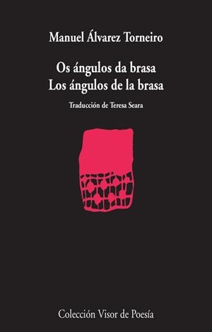 ÁNGULOS DA BRASA, LOS | 9788498958560 | TORNEIRO, MANUEL ÁLVAREZ