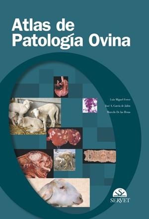 ATLAS DE PATOLOGIA OVINA 2º | 9788493292119 | FERRER MAYAYO, LUIS MIGUEL/GARCÍA DE JALÓN CIERCOLES, JOSÉ ANTONIO/HERAS GUILLAMÓN, MARCELO DE LAS