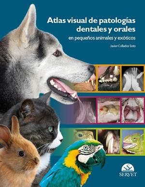 ATLAS VISUAL DE PATOLOGIAS DENTALES Y ORALES | 9788493597160 | COLLADOS SOTO, JAVIER