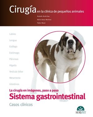 APARATO DIGESTIVO CASOS CLINICOS CIRUGIA EN CLINICA PEQUEÑO | 9788416315321 | BRšHL DAY RODOLFO / MARTINEZ,MARIA ELENA