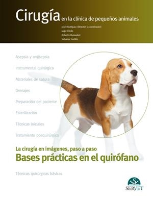 BASES PRACTICAS EN EL QUIROFANO | 9788416315994 | RODRIGUEZ GOMEZ, JOSE / LLINAS CEBALLOS, J.