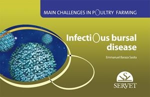 MAIN CHALLENGES IN POULTRY FARMING,  INFECTIOUS BURSAL DISEASES | 9788494297694 | BARAZA SASITA, EMMANUEL