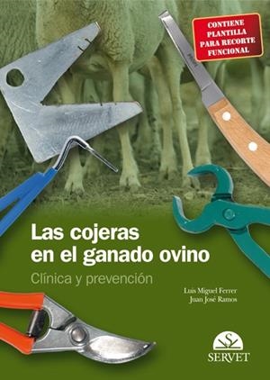 COJERAS EN EL GANADO OVINO, LAS | 9788492569045 | FERRER / RAMOS