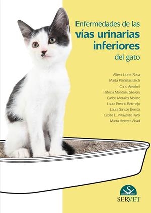 ENFERMEDADES DE LAS VIAS URINARIAS INFERIORES DEL GATO | 9788416315413 | LLORET ROCA, ALBERT / PLANELLAS BACH, M.