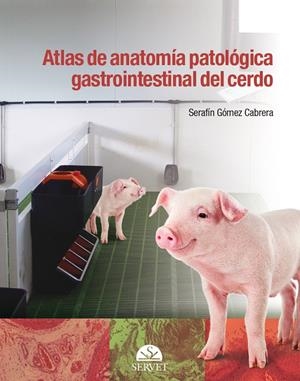 ATLAS DE ANATOMIA PATOLOGICA GASTROINTESTINAL DEL CERDO | 9788416315796 | GOMEZ CABRERA, SERAFIN