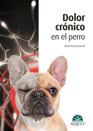 DOLOR CRONICO EN EL PERRO | 9788416818792 | RUANO PUENTE, BELEN