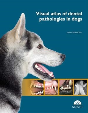 VISUAL ATLAS OF DENTAL PATHOLOGIES IN DOGS | 9788416315055 | COLLADOS SOTO, JAVIER