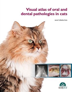 VISUAL ATLAS OF ORAL AND DENTAL PATHOLOGIES IN CATS | 9788417225094 | COLLADOS SOTO, JAVIER