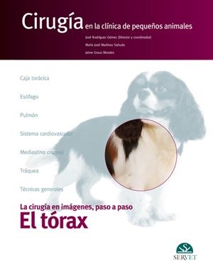 TORAX LA CIRUGIA EN IMAGENES PASO A PASO, EL | 9788492569670 | RODRIGUEZ GOMEZ, JOSE / MARTINEZ SAÑUDO, M.
