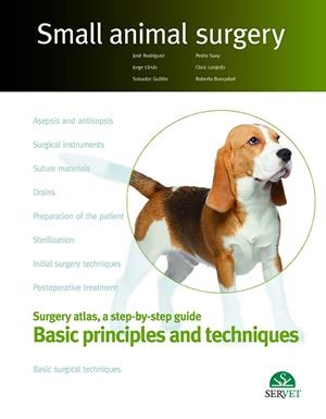 BASIC PRINCIPLES AND TECHNIQUES | 9788416818259 | RODRIGUEZ GOMEZ, JOSE