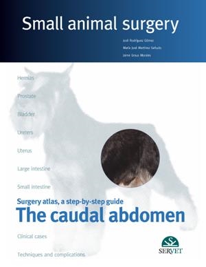 CAUDAL ABDOMEN, SMALL ANIMAL SURGERY, THE | 9788492569694 | RODRIGUEZ GOMEZ, JOSE / GRAUS MORALES, JAI