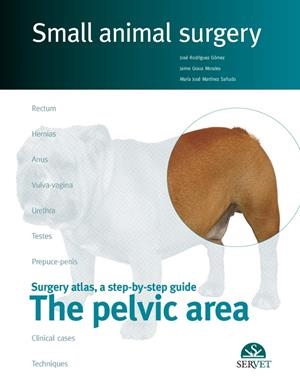 PELVIC AREA, SMALL ANIMAL SURGERY, THE | 9788492569465 | RODRIGUEZ GOMEZ, JOSE / GRAUS MORALES, JAI