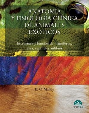ANATOMIA Y FISIOLOGIA CLINI,ANIMALES EXOTICOS | 9788493597115 | O'MALLEY, BAIRBRE