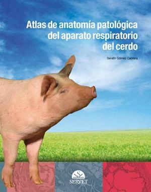 ATLAS ANATOMIA PATOLOGICA DEL APARATO RESPIRATORIO CERDO | 9788492569274 | GOMEZ CABRERA, SERAFIN