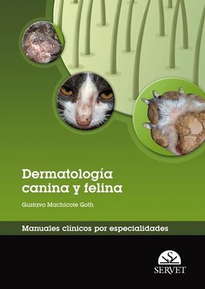 DERMATOLOGIA CANINA Y FELINA : MANUALES CLINICOS POR ESPECIALIDADES | 9788492569526 | MACHICOTE GOTH, GUSTAVO